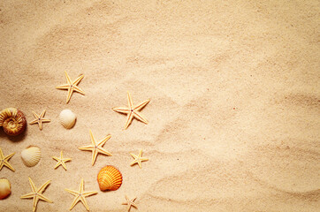 Seashell and starfish pattern on the sandy beach. Summer background.