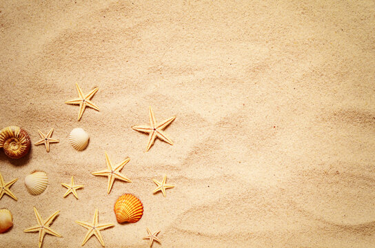 Seashell and starfish pattern on the sandy beach. Summer background.