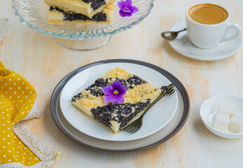 Sliced pie with cottage cheese and poppy filling on shortcrust pastry on a ceramic plate on a light...