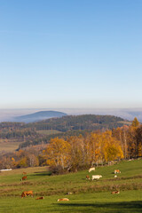 Fototapeta premium Typical Sumava autumn landscape, Southern Bohemia, Czech Republic