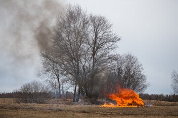 a fire caused by a person because of a campfire. a growing flame in a field on dry grass. a natural...