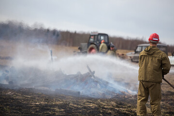 Naklejka premium a band of fire in the field. the fire brigade extinguishes the fire with water from the fire hose. fighting with the raging fire element. natural disaster due to forest fires