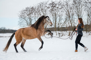 Wunderschöner PRE Wallach und junge Frauen in enger Verbindung im Winter Schneelandschaft...