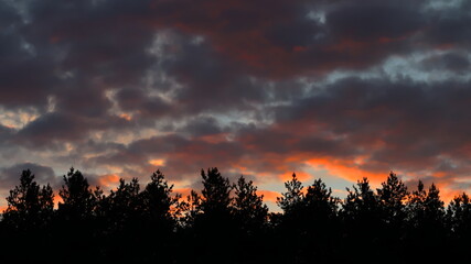 zachód słońca nad lasem © jarizPJ