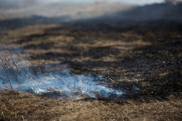 a fire caused by a person because of a campfire. a growing flame in a field on dry grass. a natural disaster. firefighters are working to extinguish the fire in smoke and smog