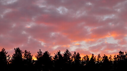 zachód słońca nad lasem, sunset over the forest © jarizPJ