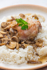 grilled chicken meat with mushroom sauce and rice
