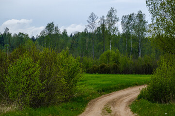 Fototapeta na wymiar narrow countryside forest road with gravel surface