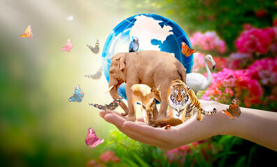 Earth Day or International Day for Biological Diversity concept. Group of animals, butterflies and...