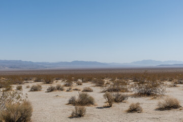Scenic panoramic Joshua Tree National Park vista, Southern California