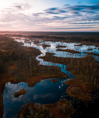 Fototapeta na wymiar Autumn, Early morning, sunrise, swamp, marshland reflecting lake, paddle boarding group.