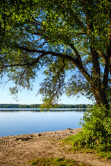Obraz premium wide river landscape scene with large body of water