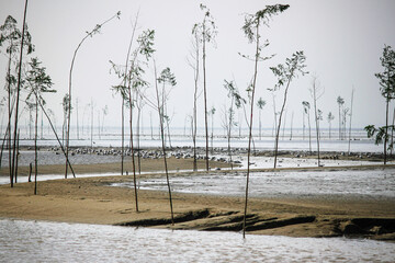 Wremen, Wurster Nordseek&uuml;ste, Binsen vom Fahrwasser, Priel