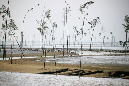 Wremen, Wurster Nordseek&uuml;ste, Binsen vom Fahrwasser, Priel