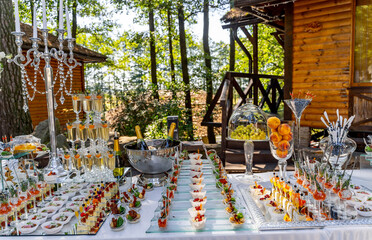 Delicious banquet at the table. Tasty snacks on wedding celebration.
