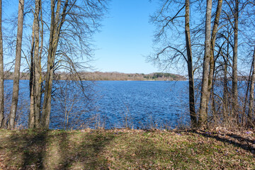 trees by the water with sky reflections