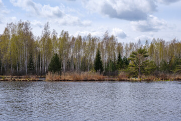 trees by the water with sky reflections