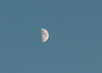 Evening moon
