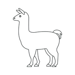 llama line icon vector symbol