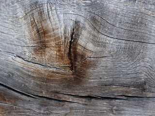 high detail cut wood for texture backgrounds