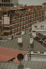 Fototapeta premium I took This images on Last Summer in Batumim at Rainy day from Home.