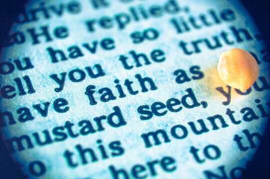 A macro shot of a Bible text with the words of Jesus: Have faith as small as of mustard seed  (New Testament, Gospel of Luke 17,6). Low depth of field.