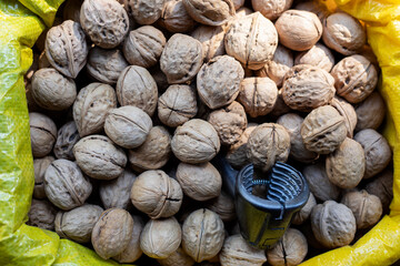 close up of dried walnut fruits