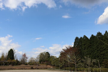 青空を背景にしたの本の美しい風景