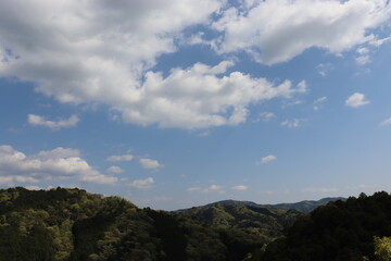 青空を背景にしたの本の美しい風景