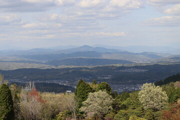 Fototapeta premium 青空を背景にしたの本の美しい風景
