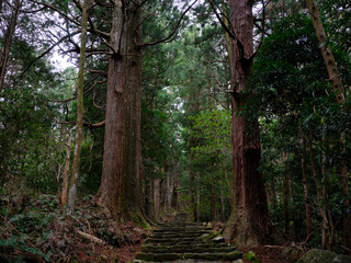 熊野古道