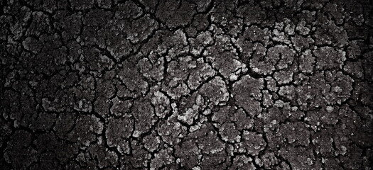 Dried Cracked Wide Texture Background. Dry Earth .Soil Ground Grunge Abstract Texture. Close up Of Crack Soil Top View Web Banner. Cracked Earth Soil Black Arid Background