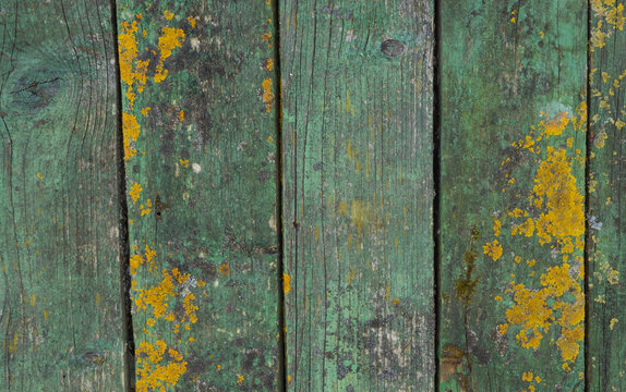 Old weathered boards, with peeling green paint burnt out in the sun, with yellow moss, streaks and spots.