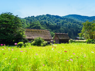 世界遺産　秋の気配を感じる白川郷 © oben901