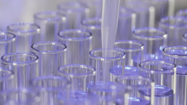 Taking transparent liquid with pipette from test tube standing on rack to make experiment in medical research lab extreme closeup