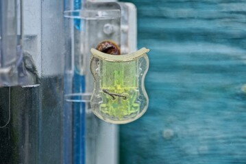 one white green plastic seal hanging on an electric meter outside
