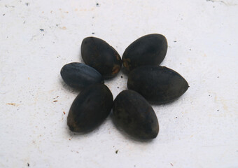 Canarium Nut or Canariym indicum on white background. In Indonesia, called kenari.