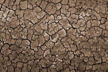 Dried Cracked Texture Background. Dry Earth .Soil Ground Grunge Texture. Close up of crack soil Top View. Cracked Earth Soil Black Arid Background.