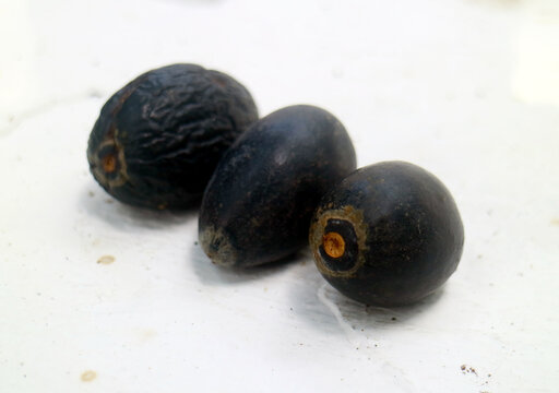 Canarium Nut or Canariym indicum on white background. In Indonesia, called kenari.
