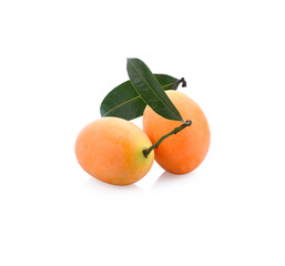 Marian Plum, (Bouea macrophylla Griffith).