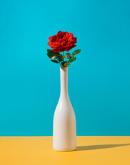 Romantic concept with white champagne bottle and red rose flower. Minimal elegant background.