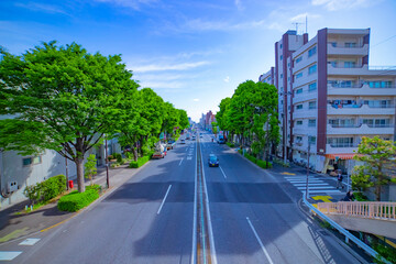 Obraz premium A timelapse of downtown street at the avenue daytime wide shot