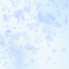 Light blue flower petals falling down. Worthy roma