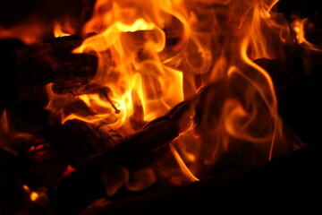 Burning fire in the night