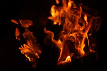Fototapeta premium Burning fire in the night
