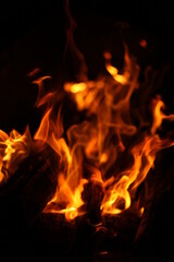 Burning fire in the night