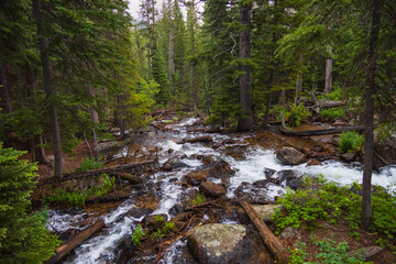 Calypso Cascades, Rocky Mountain National Park, Colorado
