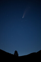 Comet Neowise Over Idaho II