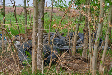 old car tires lie in the bushes