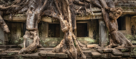 Fototapeta premium Overgrown temple